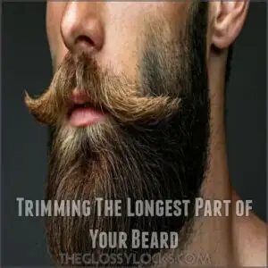 Trimming The Longest Part of Your Beard Trimming The Longest Part of Your Beard