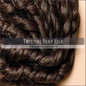 Twisting Damp Hair