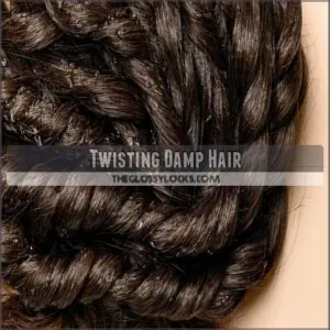 Twisting Damp Hair Twisting Damp Hair