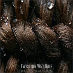 Twisting Wet Hair Twisting Wet Hair