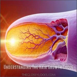 Understanding The Hair Growth Cycle Understanding The Hair Growth Cycle