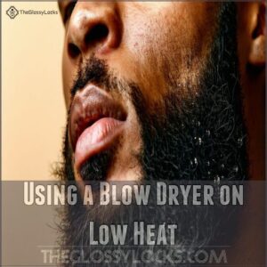 Using a Blow Dryer on Low Heat