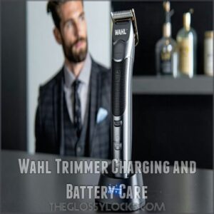 Wahl Trimmer Charging and Battery Care