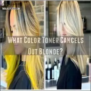 What Color Toner Cancels Out Blonde