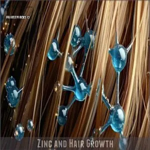 Zinc and Hair Growth Zinc and Hair Growth