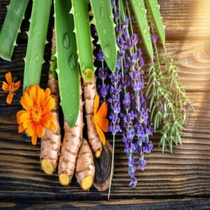 Best Herbs for Skin Care