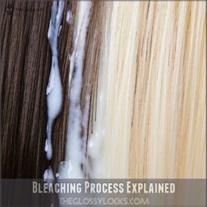 Bleaching Process Explained