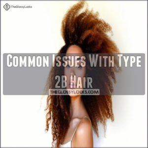 Common Issues With Type 2B Hair