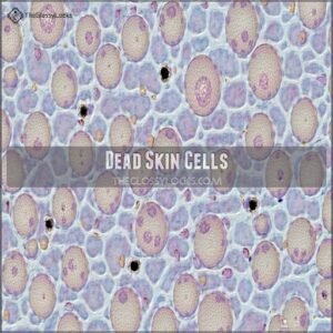 Dead Skin Cells