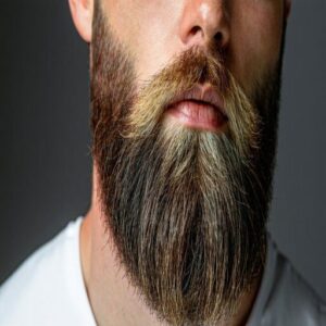Facial Hair Styles Facial Hair Styles