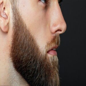 Faded Beard Faded Beard
