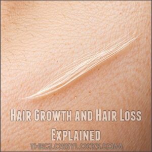 Hair Growth and Hair Loss Explained