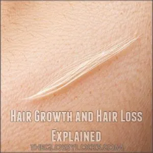 Hair Growth and Hair Loss Explained