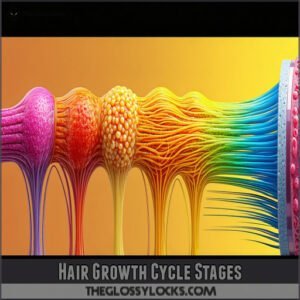 Hair Growth Cycle Stages