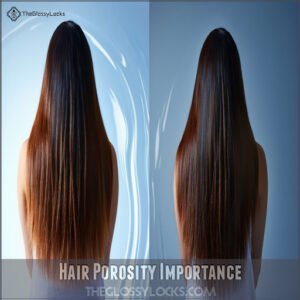 Hair Porosity Importance