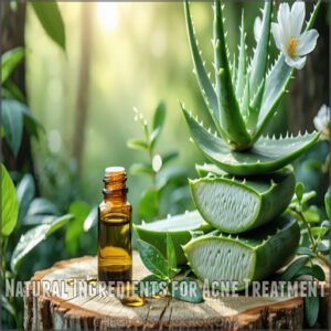 Natural Ingredients for Acne Treatment