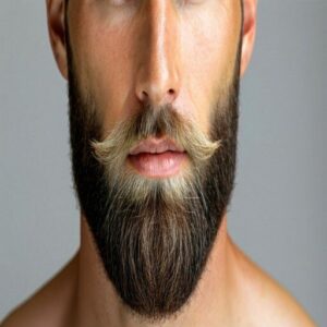 Professional Grooming Professional Grooming