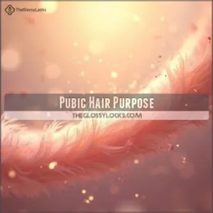 Pubic Hair Purpose Pubic Hair Purpose