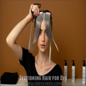 Sectioning Hair for Dye