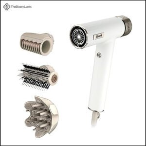 Shark Hair Dryer SpeedStyle RapidGloss