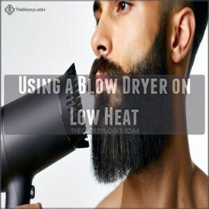 Using a Blow Dryer on Low Heat