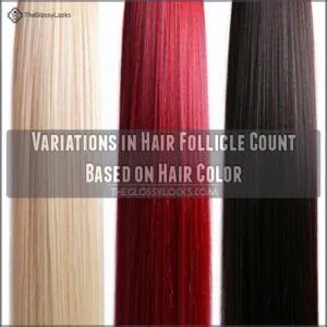 Variations in Hair Follicle Count Based on Hair Color