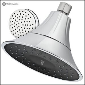 VivaSpring Filtered Shower Head FSH25-CB