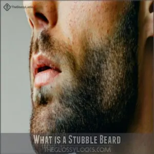 What is a Stubble Beard