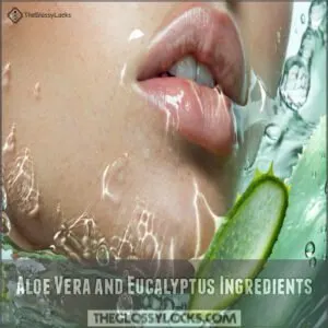 Aloe Vera and Eucalyptus Ingredients