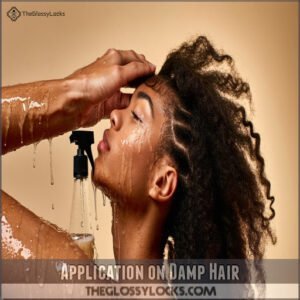 Application on Damp Hair