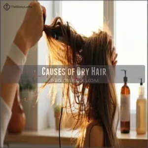 Causes of Dry Hair