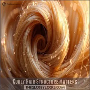 Curly Hair Structure Matters