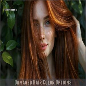 Damaged Hair Color Options Damaged Hair Color Options