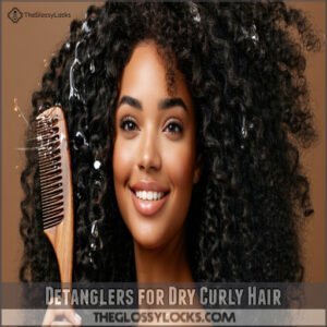 Detanglers for Dry Curly Hair