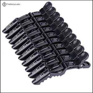 HH&LL Hair Clips for Women B079G2WSK9