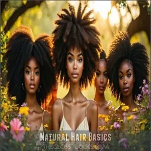 Natural Hair Basics Natural Hair Basics