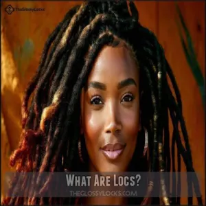 What Are Locs What Are Locs