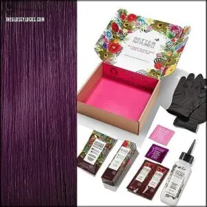 3V Dark Plum Permanent Hair