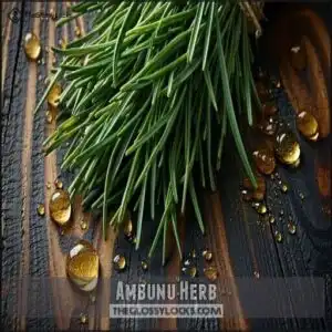 Ambunu Herb