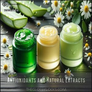 Antioxidants and Natural Extracts