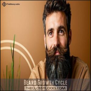 Beard Growth Cycle