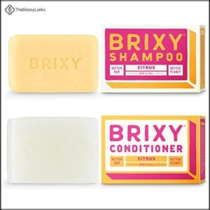 BRIXY Balancing Shampoo and Conditioner