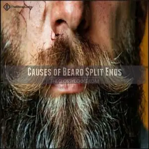 Causes of Beard Split Ends