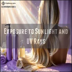 Exposure to Sunlight and UV Rays Exposure to Sunlight and UV Rays