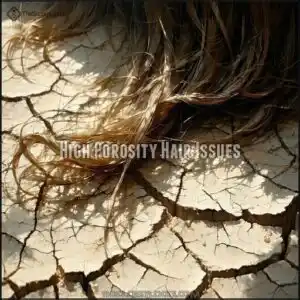 High Porosity Hair Issues