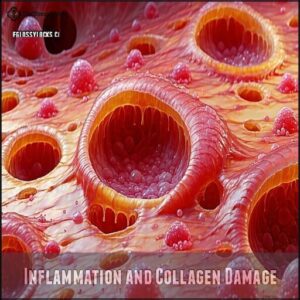 Inflammation and Collagen Damage