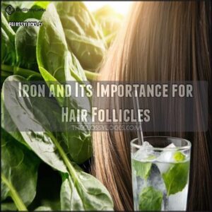 Iron and Its Importance for Hair Follicles