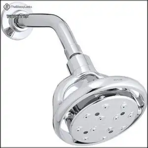 Kohler K-15996-CP Flipside 2.5 gpm