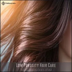 Low Porosity Hair Care
