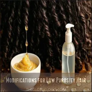Modifications for Low Porosity Hair